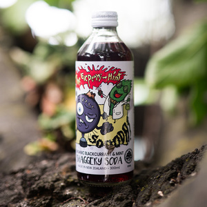 The Experi-Mint Organic Soda - Little Shaggery Farm