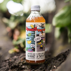 Products: Organic Lemon, Lime & Pine Soda - Little Shaggery Farm