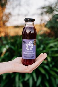 Products: Organic Blackcurrant & Apple Juice (Box of 15) - Little Shaggery Farm
