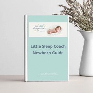 Products: Newborn e-Guide Little Sleep Coach