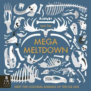 Non Fiction Books: Mega Meltdown