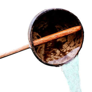 Q Toys: Coconut Water Scoop