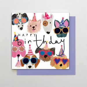 Greeting Gift Cards: Birthday Dog Faces - Birthday Card