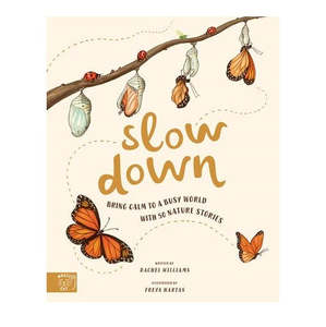 Montessori Toys: Slow Down