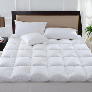 1550 Gsm White Feathers Mattress Topper Bed