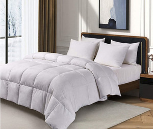 Products: All Seasons 200 Gsm Feather/down Duvet Inner