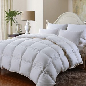 Winter Weight 600 Gsm Feather/down Duvet Inner