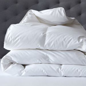 Products: WINTER WEIGHT 450gsm DUVET INNER IN COTTON CASING