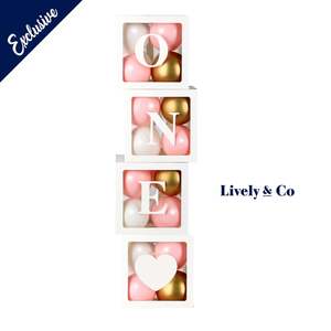 ONE Balloon Box with Pink Balloons Set
