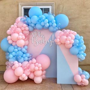 Balloon Garlands: Balloon DIY Garland - Baby Pink & Baby Blue Gender Reveal