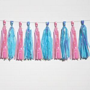 Holographic Pink & Holographic Blue Tassel Garland Set 10 Piece