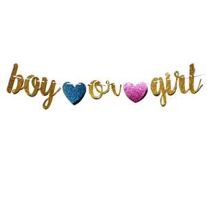5 Bargain Bin: Glitter Banner Boy Or Girl