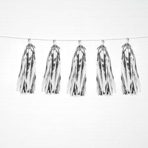 Metallic Silver Tassels