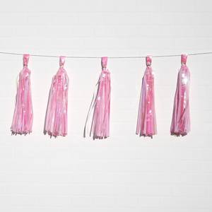 Tassels: Holographic Pink Tassels