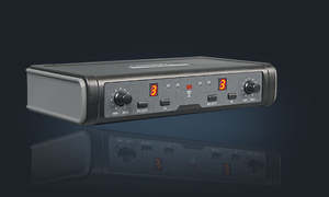 Pasgao - PAW-266/PBT-172/PH90 - Wireless Mic System With 2 x Headset Mics