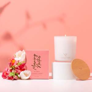 Morning Nectar Soy Candles - OUTLET