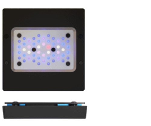 Lighting: EcoTech Marine Radion LED XR15 GEN 6 BLUE