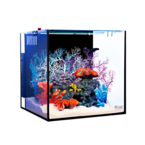 Reef Aquariums: AquaOne NanoReef 80
