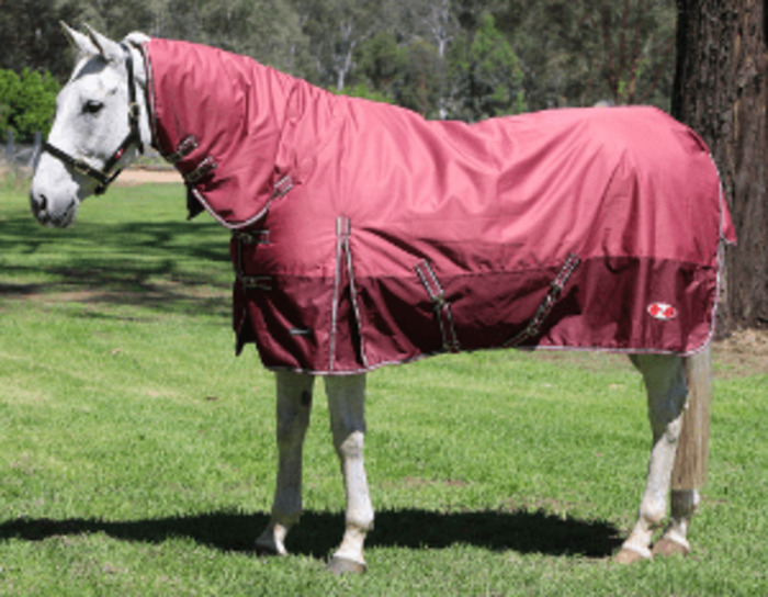 Zilco Explorer 200g Combo Horse Rug - Living Rural