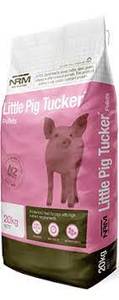 Little Pig Tucker - Living Rural