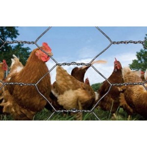 Products: Hex Netting - Living Rural