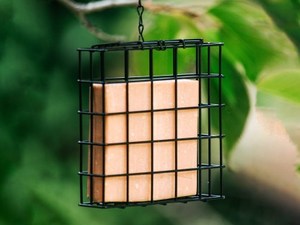 Wild Bird Cake Feeder - Living Rural