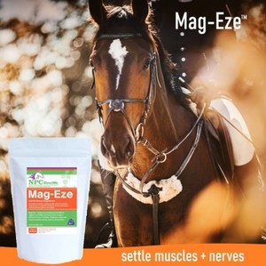 Products: NPC Mageze Regular Powder 1kg - Living Rural