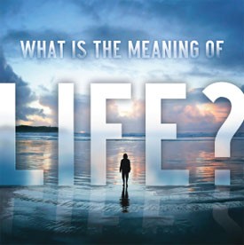 Products: What is the Meaning of Life? (100pk)