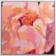 Bloom Framed Canvas