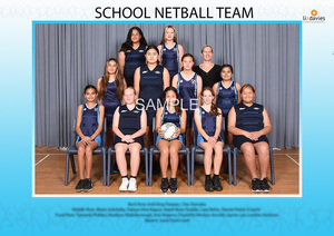 Products: School Sports Team/Group Photo