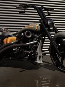 Products: Harley-Davidson Night rod 2012 weekly payments of $220.00 – LKtraz Motors