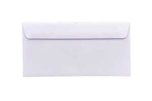 20pcs Business Mailing Plain DLE Envelopes  110 X 220MM (PAPER)