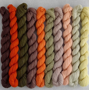 Autumn Fade Set 25gm Mini's 4ply Lochanside Alpacas