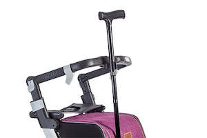 Walker Accessories: Rollz Flex Cane Holder