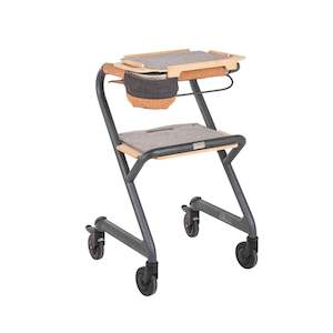 Indoor Walkers: Saljol Indoor Walker