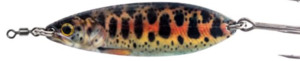 Black magic Enticer Brookie 12GMS