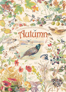 Outset Media: COUNTRY DIARY, AUTUMN PUZZLE  1000PCS  SEASONS, Compact