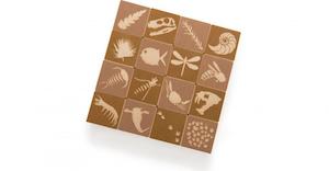 FOSSIL BLOCKS  16PC