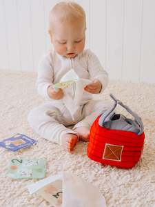 Tikiri Collection: Farm House Wonder Cube with Animal Scrunchies