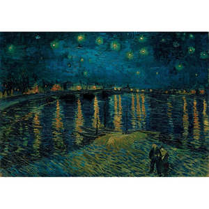 Puzzles: Starry Night Over The Rhone, Museum, 1000pcs, Compact