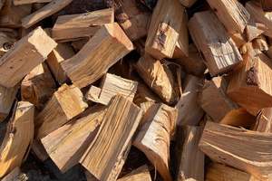 Firewood: Wet Old Man Pine Firewood