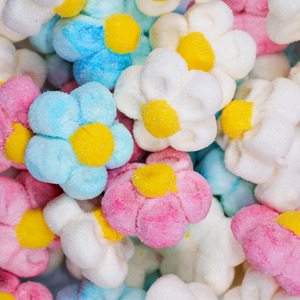 Marshmallow And Fondant: Marshmallow Flowers