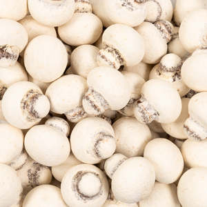 Elit Chocolate Mushrooms (5's)