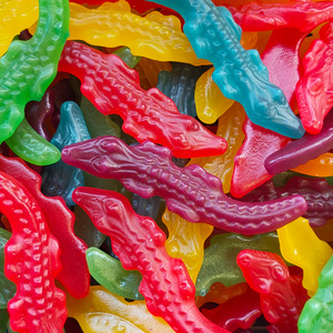 Crocodiles  (Mayceys)