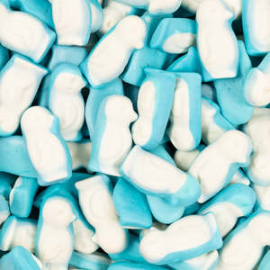 Little Blue Penguins