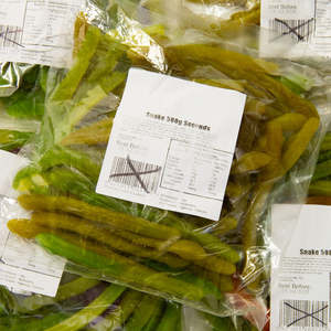 Rainbow Gummy Seconds (Manufacturer's Clearance)