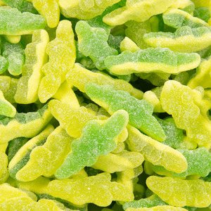 New Arrivals: Green Crocodiles