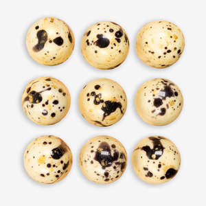 Chocolate Lamington (Single Chocolate)