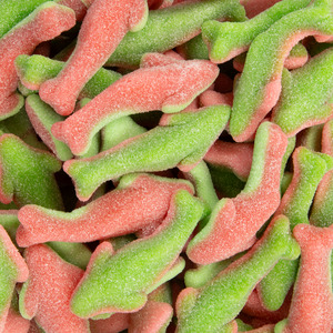 New Arrivals: Watermelon Shark