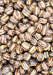 Damaged Lollies: Humbugs-Damaged